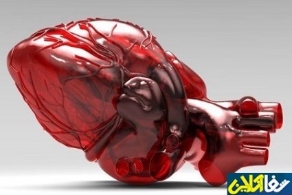 کشف خاصیت ترمیم کنندگی سلول های برداشت شده از جراحی قلب