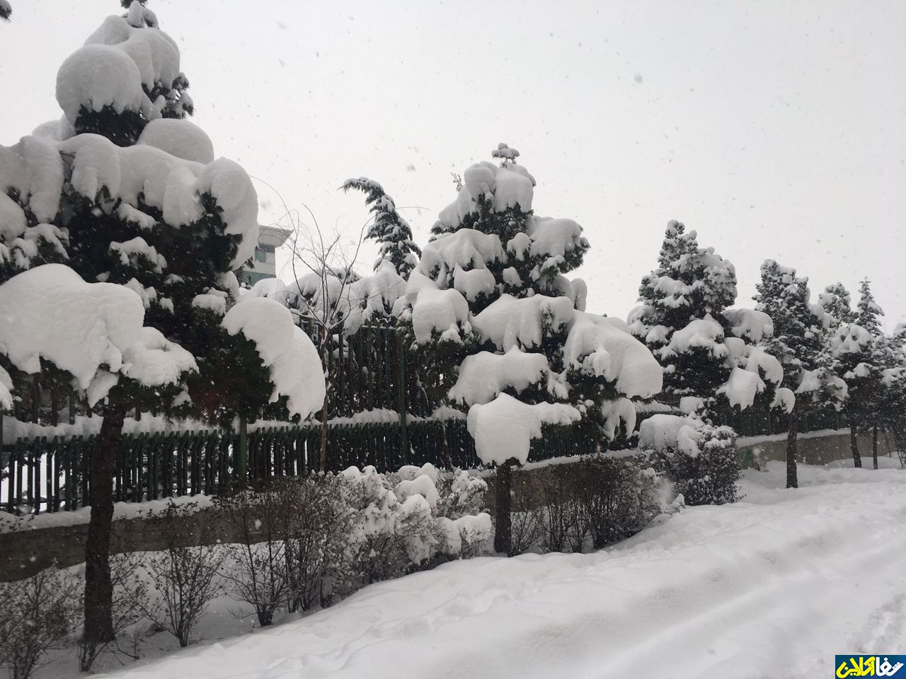 گزارش تصويري؛تهران در برف/اختصاصي شفاآنلاين