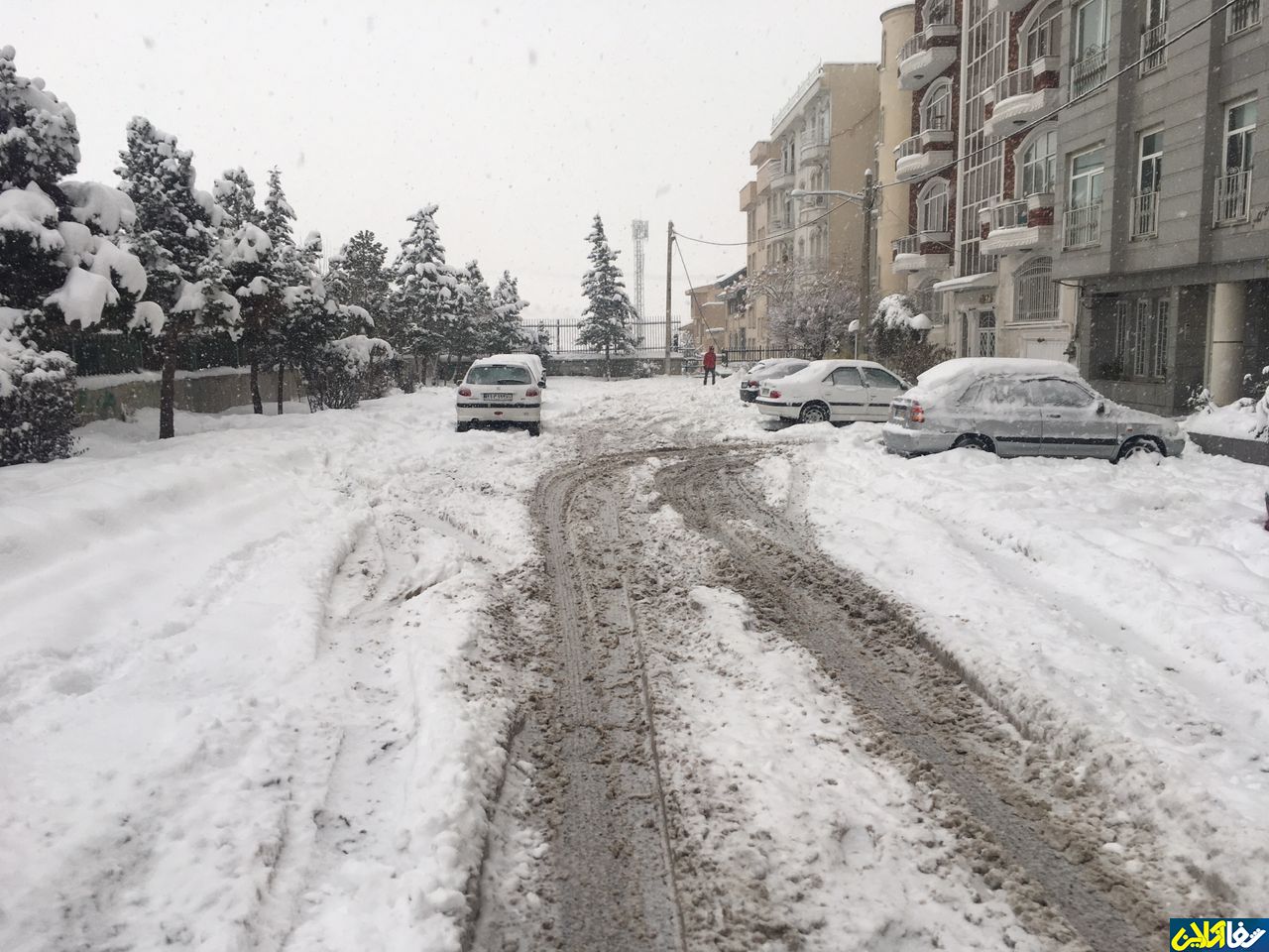 گزارش تصويري؛تهران در برف/اختصاصي شفاآنلاين