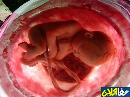 تصاویر حیرت‌انگیز از واکنش جنین در رحم مادر به مزه و بو/فیلم