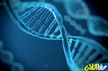 تاثیر ژن ها در بسیاری از اختلالات اعتیاد