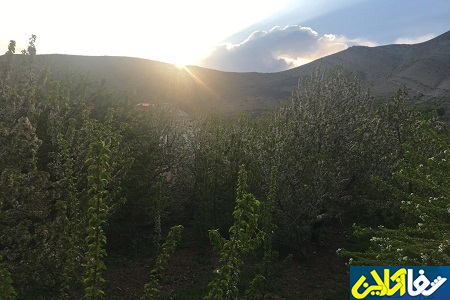 بهار زيبا در روستاهاي اطراف لواسان/گزارش تصويري اختصاصي شفا آنلاين