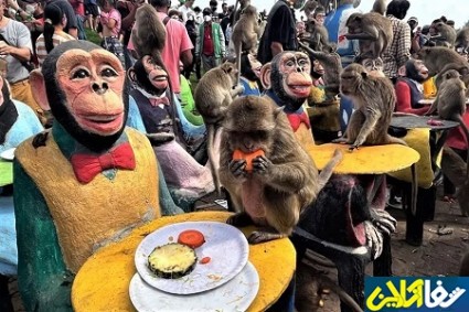 شهری در تایلند که میمون ها در آن پادشاهی می کنند/تصاویر