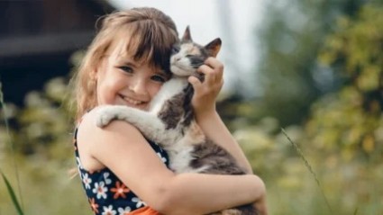 خطر اسکیزوفرنی در دوران کودکی براثر ارتباط با گربه ها!