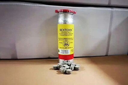 مرگهای خاموش زیر پوست شهر؛ قرص برنج قربانی میگیرد