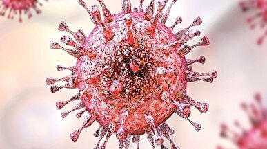 زنان بیشتر از مردان دچار تبخال تناسلی میشوند