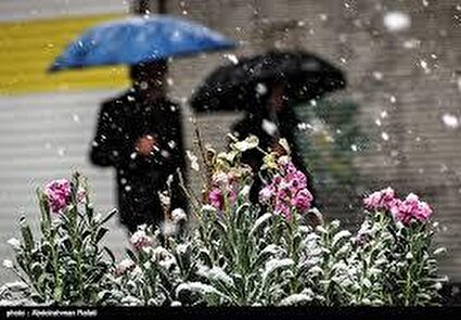 بارش برف بهاری در زنجان /تصاویر