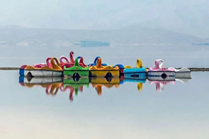 تولد دوباره دریاچه مهارلو؛ بازگشت فلامینگوها با بارش‌های پاییزی /تصاویر