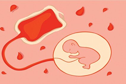 بیمه حیات پشت دیوار بی‌پولی