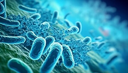 همه میکروب‌ها دشمن نیستند؛ دوستان نامرئیِ سلامت ما