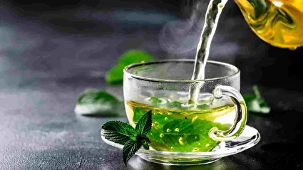 خواص چای سبز؛ مراقب شما در برابر ویروس ها