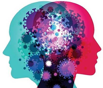 بانک مغز راه‌اندازی شد