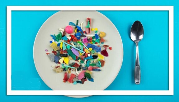 میکروپلاستیک‌ها؛ خطری پنهان برای سلامت نسل بعد