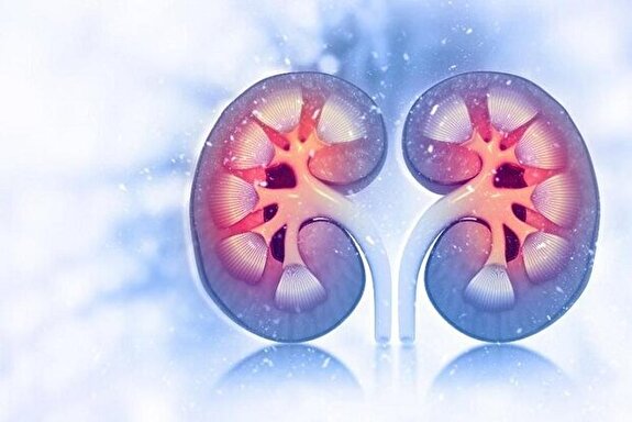 سلامت مغز با عملکرد کلیه‌ها مرتبط است