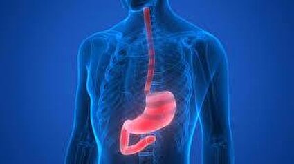 عملکرد معده/فیلم