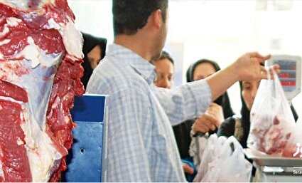 علائم فقر پروتئین در بدن