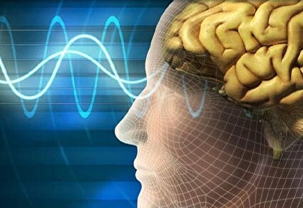 مغز از این حرکات شما متنفر است