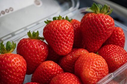 تغذیه مفید برای سلامت پوست