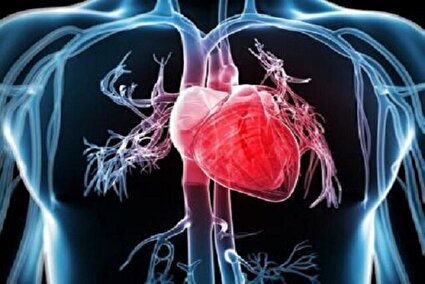 هر ورزشی برای هر قلبی مجاز نیست