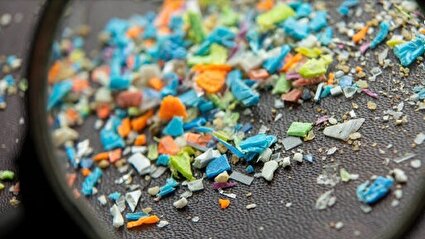 چه غذاهایی بیشترین ذرات پلاستیک را دارند؟
