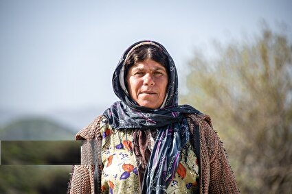 کوچ عشایر در قاب رنگ‌ها /تصاویر