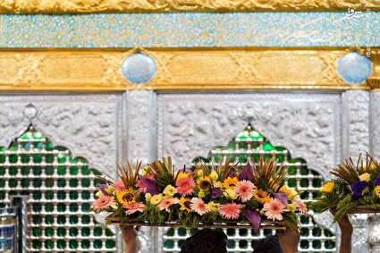 گل‌آرایی ضریح سامرا در آستانه ولادت امام رضا(ع)/تصاویر