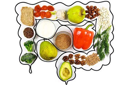 غذاهای مفید در برطرف کردن یبوست
