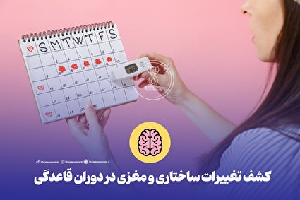 کشف تغییرات ساختاری و مغزی در دوران قاعدگی