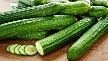 بزرگترین منبع رطوبت‌رسانی به بدن