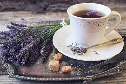 توصیه طب ایرانی برای کنترل استرس