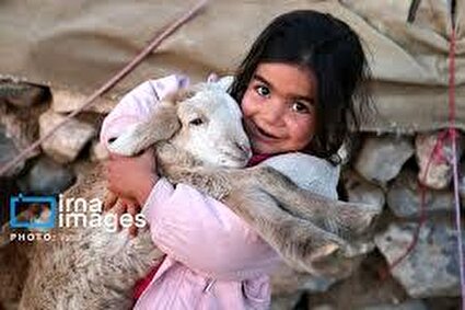 عشایر کُرمانج در ییلاق «گلیل» /تصاویر