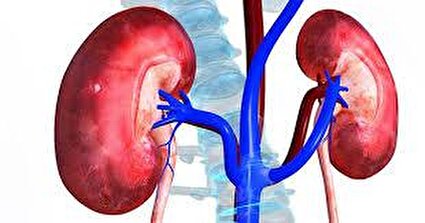 علل و علائم بیماری‌های کلیه/اینفوگرافیک