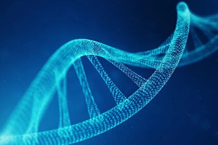آغاز پروژه بحث‌برانگیز ساخت DNA انسان