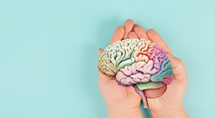 بلایی که امواج موبایل سر مغز می‌آورد