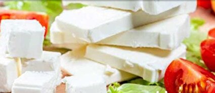 آیا مصرف پنیر عملکرد مغزی را مختل می‌کند؟