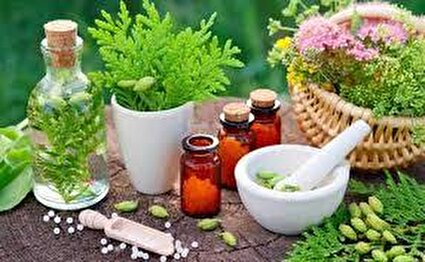 علت ایجاد مسمومیت بر اثر مصرف خودسرانه داروهای گیاهی