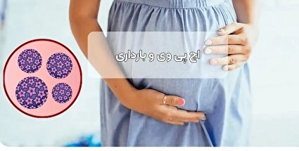 درباره ارتباط اچ پی وی و بارداری بیشتر بدانیم