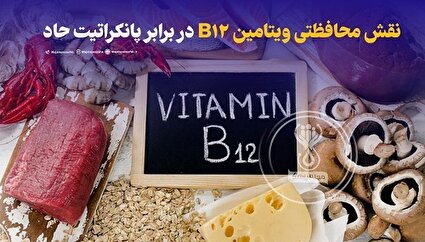نقش محافظتی ویتامین B12 در برابر پانکراتیت حاد