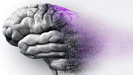 چرا زنان بیشتر به آلزایمر مبتلا می شوند؟