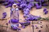 گیاهی برای بهبود نعوظ با و افزایش میل جنسی