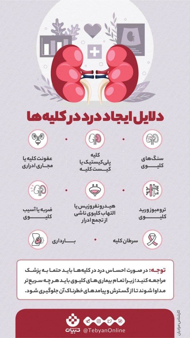 چرا کلیه‌ها درد می‌گیرند؟ /اینفوگرافیک