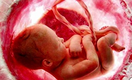 فرزندآوری برای زوجین نابارور چقدر آب می‌خورد؟