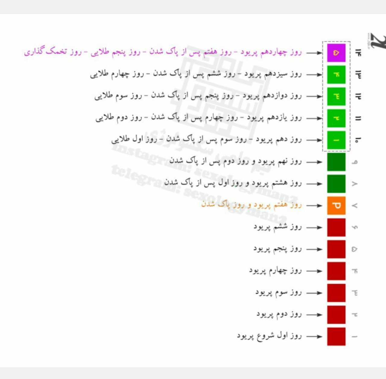5روز طلایی برای بارداری