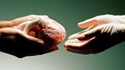 روزانه ۱۲ نفر در لیست انتظار پیوند عضو جان می‌بازند