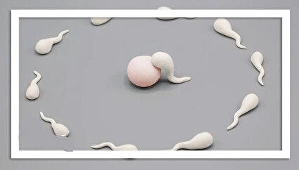 انقلابی در پیشگیری از بارداری مردانه