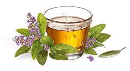 گیاهی برای بهبود زنان سرد مزاج