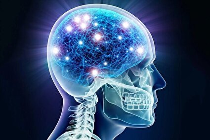 تکنیک‌های طلایی تقویت حافظه