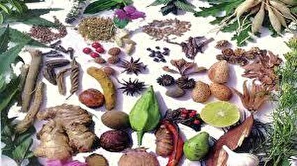 دشمن طبیعی چربی خون بالا