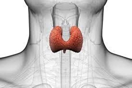 چرا کم کاری تیروئید رخ می‌دهد و تأثیر آن بر بدن چگونه است؟/tdgl
