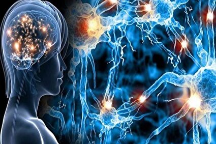 تاثیر یائسگی بر پیشروی بیماری ام‌اس